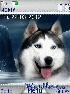 husky ice tn