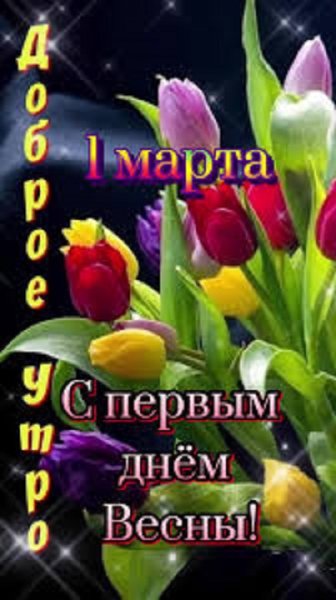 Доброе утро! С первым днём Весны!