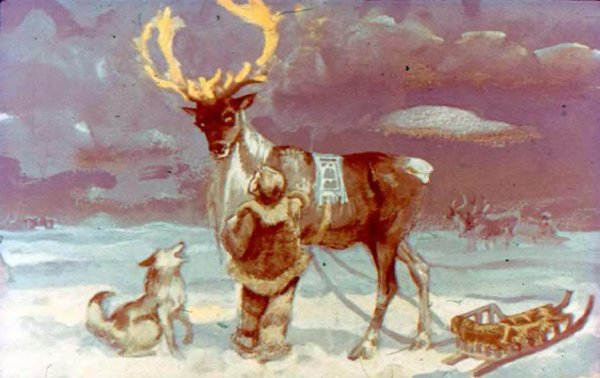 новогодние сказки