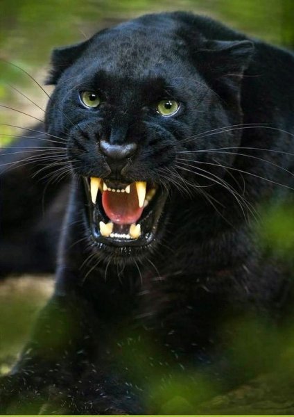 A677e70d58678aa9af46a452c6574177