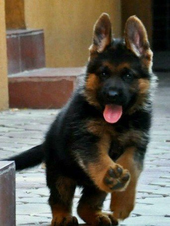 IMG 20190716 190346 549