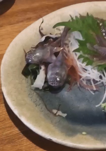 Живая еда в японском ресторане