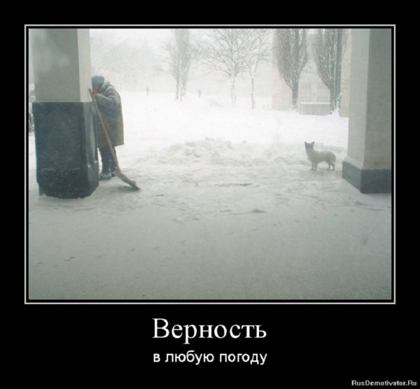 Верность