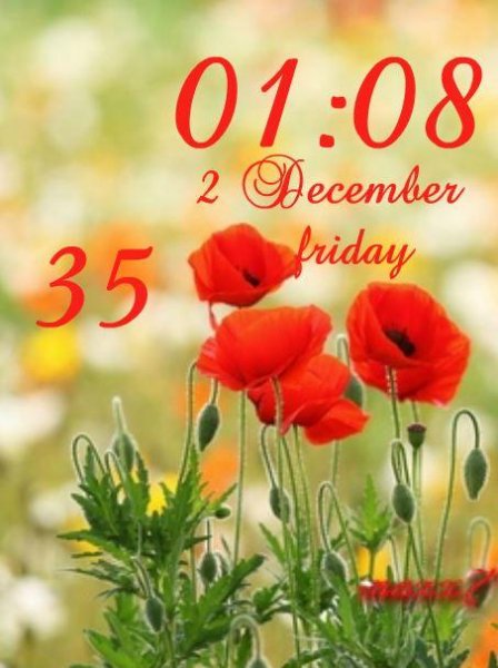 Poppies red. (maxx7)