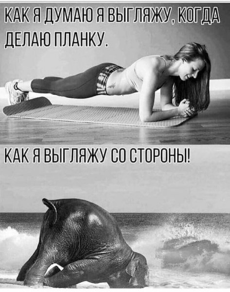 file_102314225