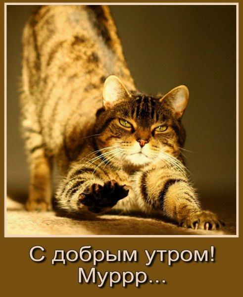 7AGO2Mwu7HaBI6e2eiRiSpX5LaidJ