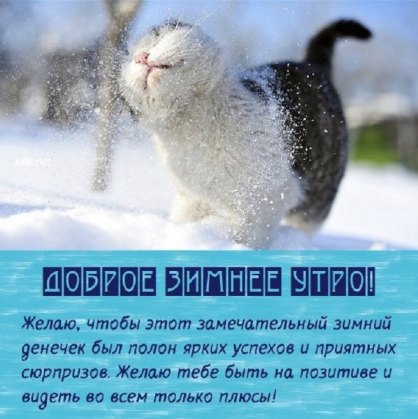 Доброе зимнее утро!