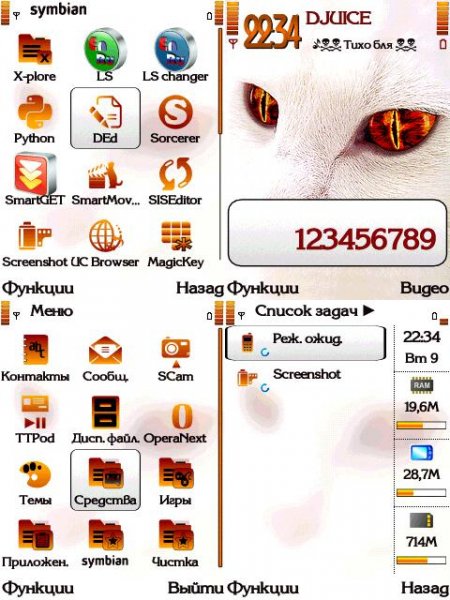 кошачьи глазища