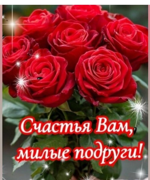 Screenshot 20250927-202842 (1)