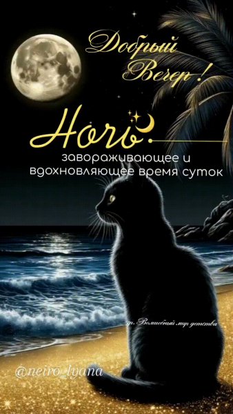 IMG 20251216 214808