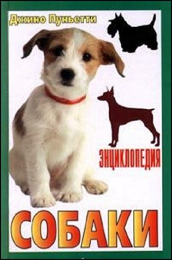 Dzhino Punetti Sobaki 3 chasti