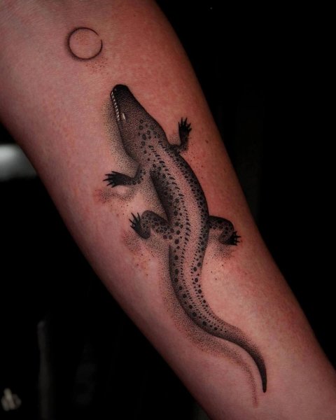 IMG 20250511 202420 709