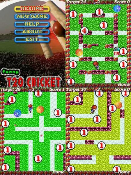 Funny T20 Cricket 352x416 N80