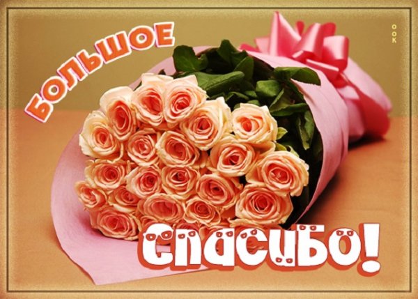 Большое спасибо!
