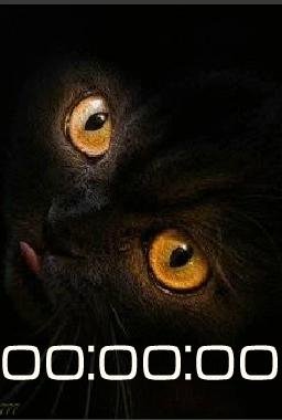 14 Кот анимация цифр часы