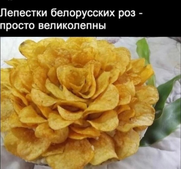 FB IMG 1778525354530