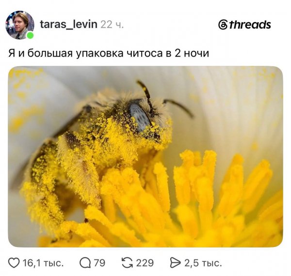 IMG 20260516 005813 663
