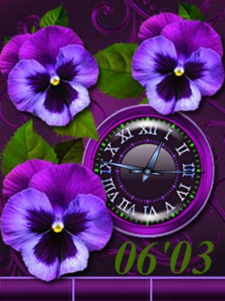 Фиалочки (DX)