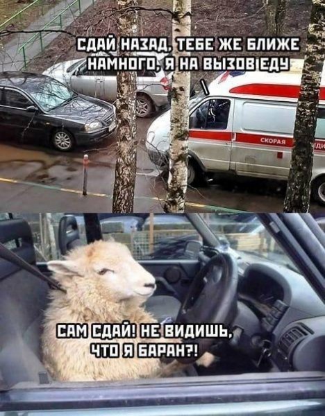 IMG 20241224 235423 236