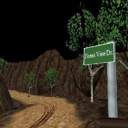 FOREST VIEW DR