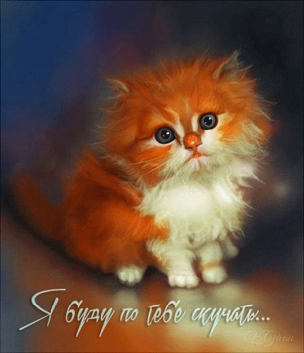 6c2bedd46380c1f3c82e732c1ab00c55