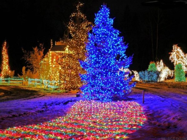 Новый год 13