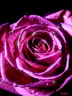 file_50084932
