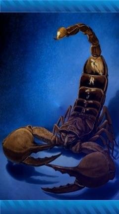 Scorpion