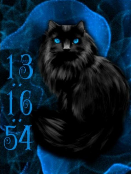 Black cat (2Din7)