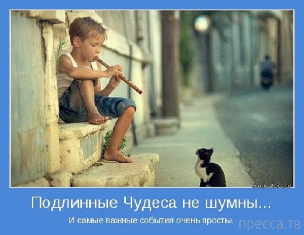 Подлинные чудеса не шумны