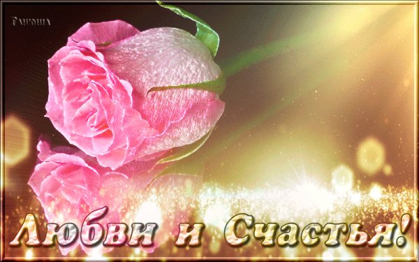 Любви и счастья!