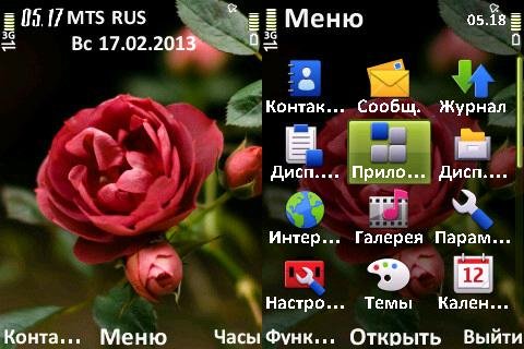 Rose