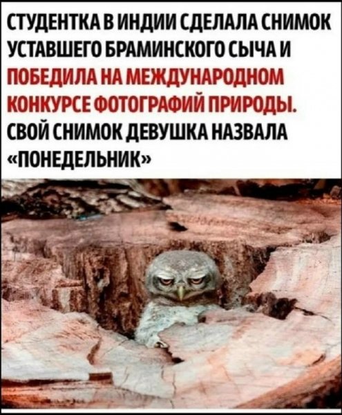 file_102573976