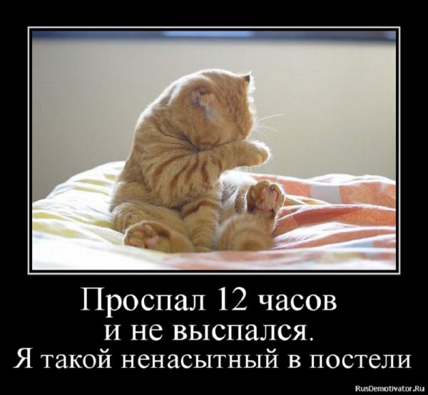 Я такой ненасытный в постели