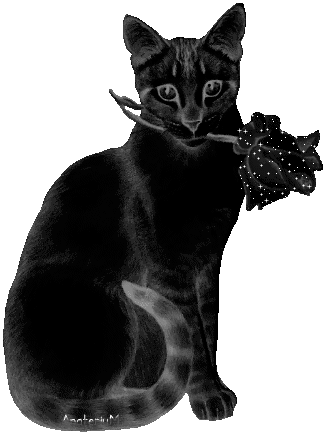 IMG 20160619 223017 23