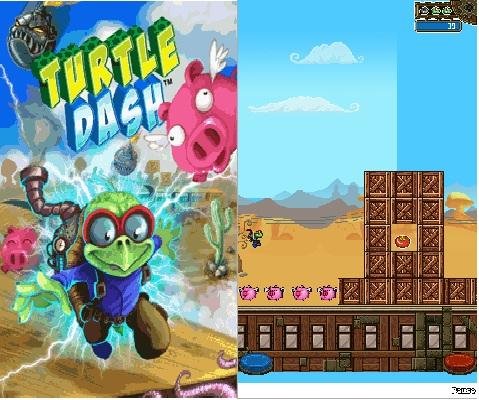 Turtle Dash EN