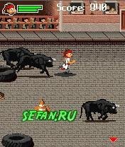 bull running 2010 176x220 se