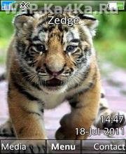 Tigr