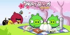 Angry birds sis