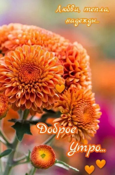 Любви, тепла, надежды... Доброе утро...