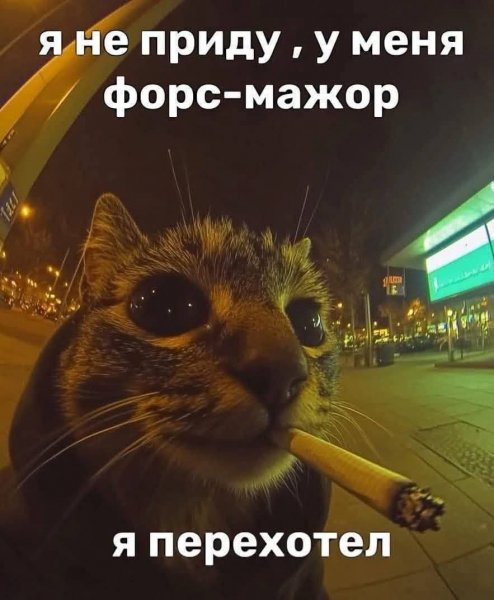 FB IMG 1773684712822