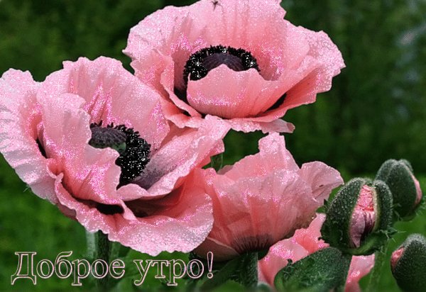 0 272e78 92155f7c orig