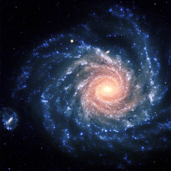 NGC 1232