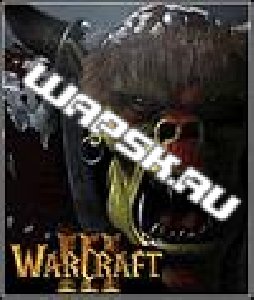 2warcraft