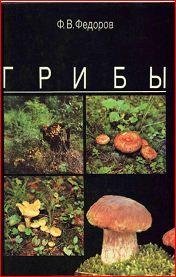 Грибы