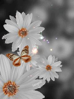 file_49953546