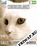 whitecat tbvn3q9v