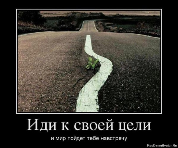 Иди к своей цели...