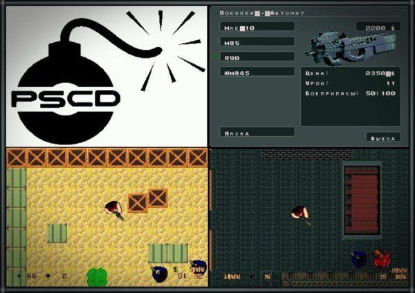 Counter Strike 2D