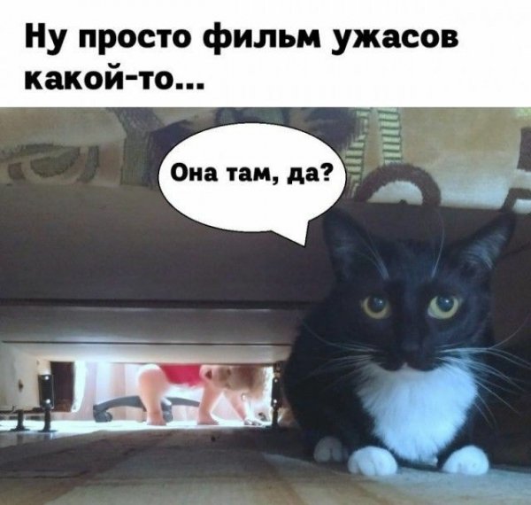9c61f145a64f105f9047083d624baaea